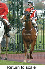 Return to scale (15361 bytes)