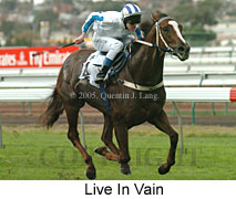 Live In Vain (14872 bytes)