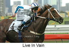 Live In Vain (14872 bytes)