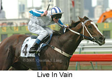 Live In Vain (14872 bytes)