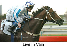 Live In Vain (14872 bytes)