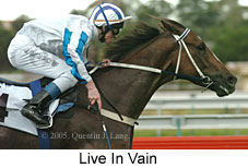 Live In Vain (14872 bytes)