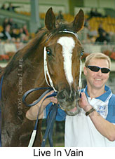 Live In Vain (14872 bytes)