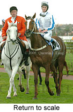 Return to scale (15361 bytes)