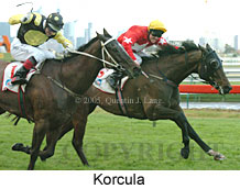 Korcula (14872 bytes)