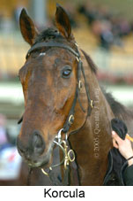 Korcula (14872 bytes)