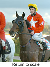 Return to scale (15361 bytes)