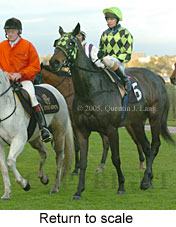 Return to scale (15361 bytes)