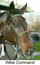 Willie Command (14872 bytes)