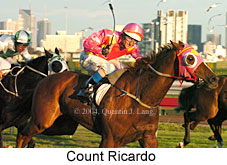 Count Ricardo (18569 bytes)