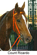 Count Ricardo (13894 bytes)