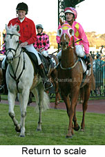 Return to scale (11974 bytes)