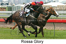 Rossa Glory (16206 bytes)