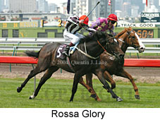 Rossa Glory (18007 bytes)