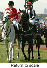 Return to scale (16571 bytes)