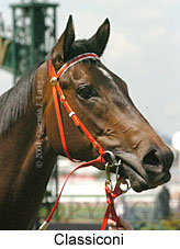 Classiconi (13622 bytes)