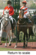 Return to scale (16910 bytes)