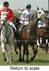 Return to scale (16575 bytes)