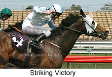 Striking Victory (16336 bytes)