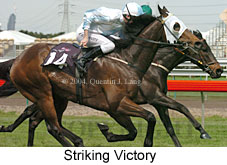 Striking Victory (15244 bytes)