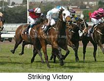 Striking Victory (15991 bytes)
