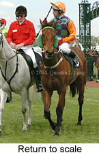 Return to scale (15445 bytes)