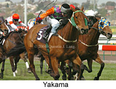 Yakama (18817 bytes)