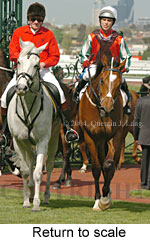 Return to scale (17849 bytes)