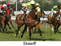 Skewiff (17432 bytes)