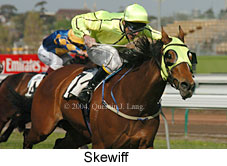 Skewiff (15431 bytes)