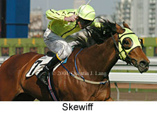 Skewiff (14261 bytes)