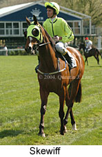 Skewiff (15420 bytes)