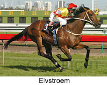 Elvstroem (17076 bytes)