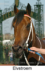 Elvstroem (13275 bytes)