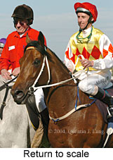 Return to scale (16993 bytes)