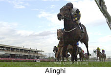 Alinghi (11056 bytes)