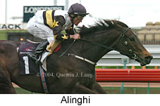 Alinghi (11874 bytes)