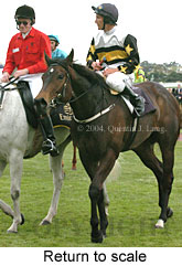 Return to scale (16249 bytes)