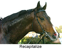 Recapitalize (11111 bytes)