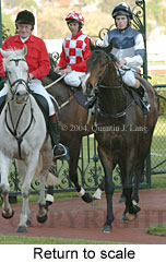 Return to scale (16709 bytes)