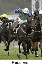 r3requiem2.jpg (12291 bytes)