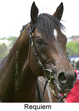 r3requiem3.jpg (10811 bytes)