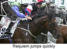 r3requiem5.jpg (17033 bytes)