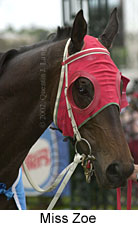 r4misszoe3.jpg (10759 bytes)