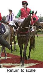 r4rtosc.jpg (14496 bytes)