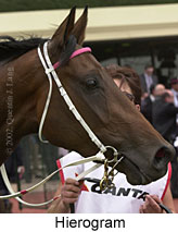 r5hierogram3.jpg (12540 bytes)