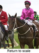 r5rtosc.jpg (13622 bytes)