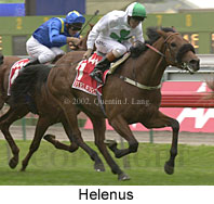 r6helenus.jpg (14618 bytes)