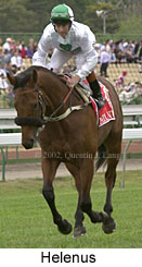 r6helenus2.jpg (13175 bytes)