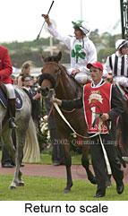 r6rtosc.jpg (14538 bytes)